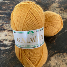 Load image into Gallery viewer, Galway Worsted Wool Yarn