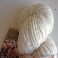 Load image into Gallery viewer, 100% Bluefaced Leicester Fleece - Aran